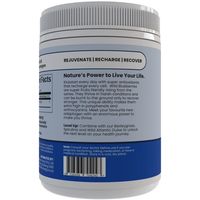 Orgamika Organic Wild Blueberry Powder